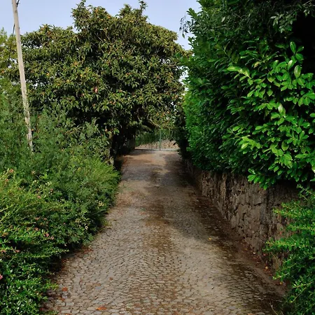 Penzion Casa Do Mogadouro *